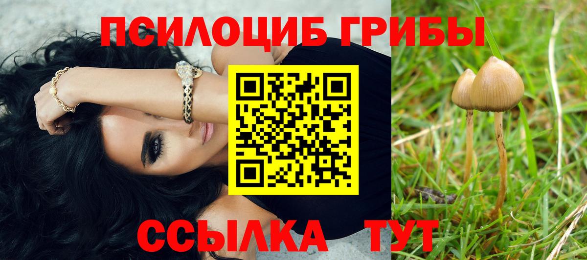 Псилоцибиновые грибы Magic Shrooms  Вход с VPN  Галлюциногенные грибы мицелий  Казань 